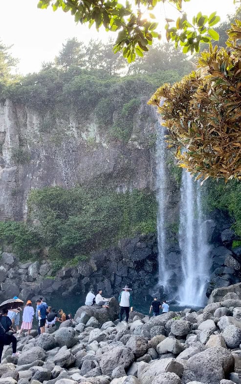 The image captures a close-up view of Jeongbang Waterfall in Jeju Island, South Korea. The waterfall streams down a rocky cliff face into a pool surrounded by large boulders, where several visitors are gathered, some taking photos and others enjoying the natural scenery. The lush greenery atop the cliff and the branches of a tree partially frame the top of the image, adding to the serene atmosphere of the location. The lighting suggests a late afternoon or early morning visit, with soft sunlight filtering through the trees.