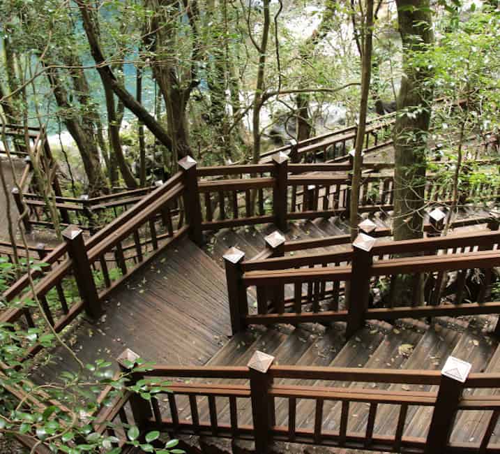 A dense forest scene featuring a well-maintained wooden staircase winding through tall trees. The stairs descend steeply, leading down towards a natural attraction, likely a waterfall, partially visible through the foliage in the background.
