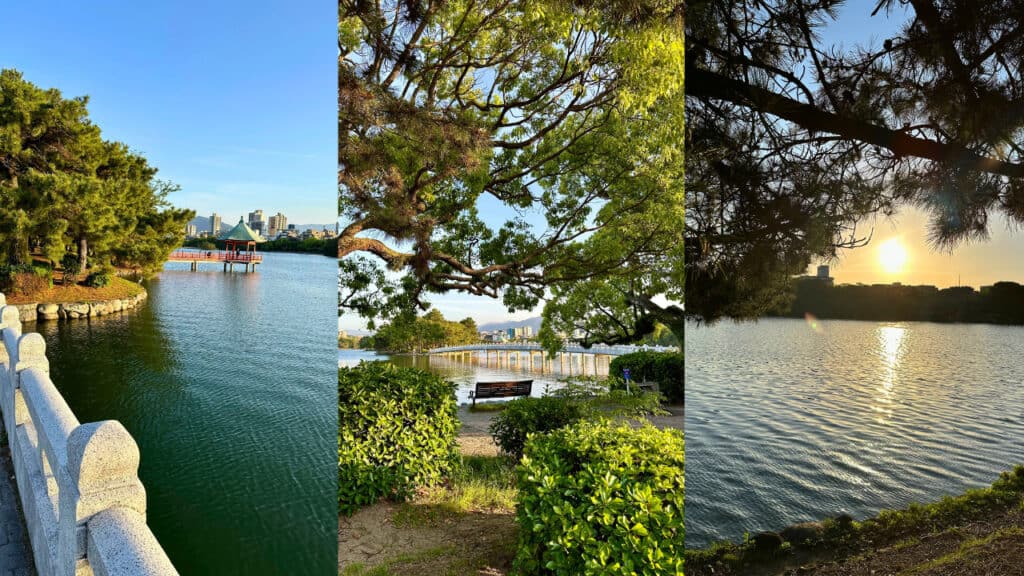 A scenic view of Ohori Park with a tranquil lake, lush greenery, and a traditional Japanese pavilion on the water under a clear blue sky. Perfect if you have only one day in Fukuoka.
