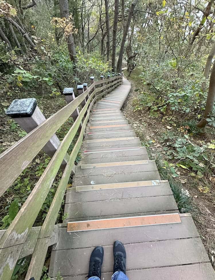 A winding wooden staircase along the Igidae Coastal Trail in Busan, South Korea, surrounded by dense green foliage and tall trees. The perspective is from a hiker’s point of view, looking down at their black shoes as they prepare to descend the steep steps. The staircase features brown railings and anti-slip strips on each step, blending into the natural forested environment.