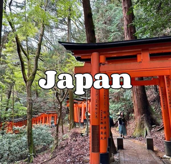 Traditional Japanese torii gates in a forest setting in Japan.